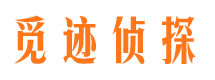 湖滨侦探社